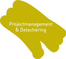 Projectmanagement & Detachering